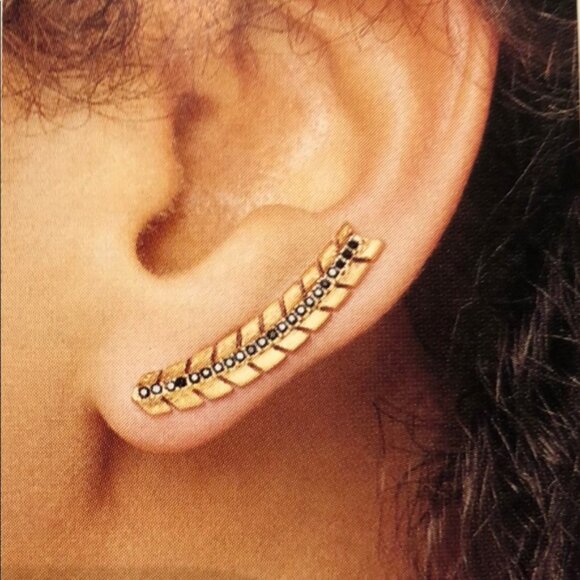 Stella and Dot Gilded Path Ear Climber - Picture 1 of 4